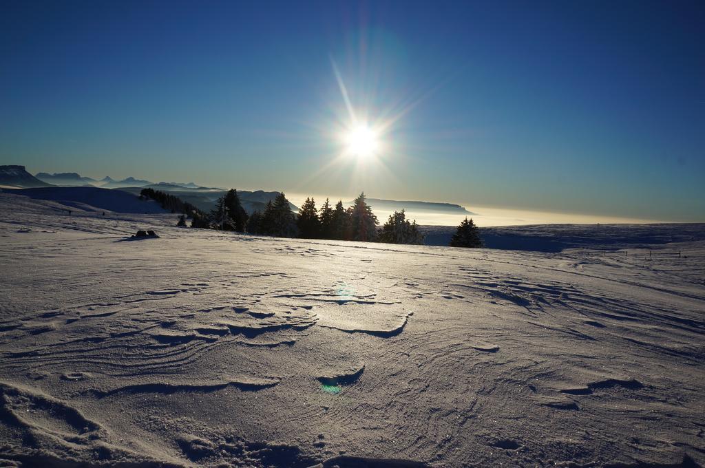 Le Pre Du Lac Saint-Jorioz Eksteriør billede